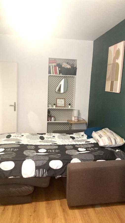 Chambre En Appartement Haussmannien En Centre Ville Сент Етиен Екстериор снимка