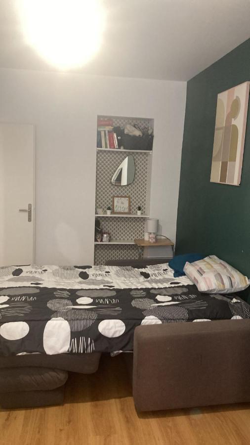 Chambre En Appartement Haussmannien En Centre Ville Сент Етиен Екстериор снимка